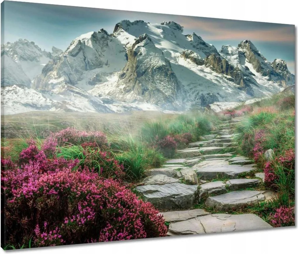 Vászonkép 80x60 Hegyi kilátás