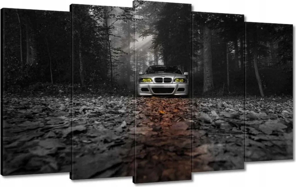 Képek 100x60 Bmw autó Buma BeMkA