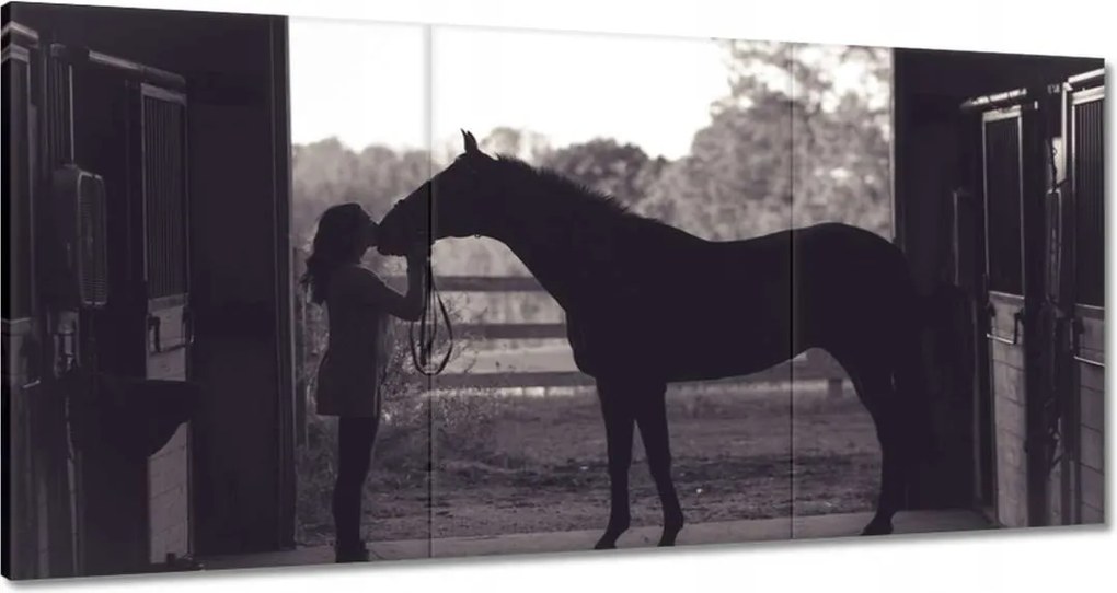 Vászonkép 180x90 Ló Lovak Lovaglás