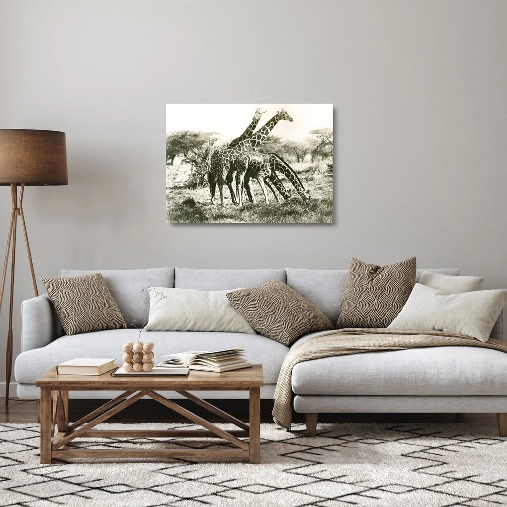 Üveg kép - Zsiráfok, vintage (70x50 cm)