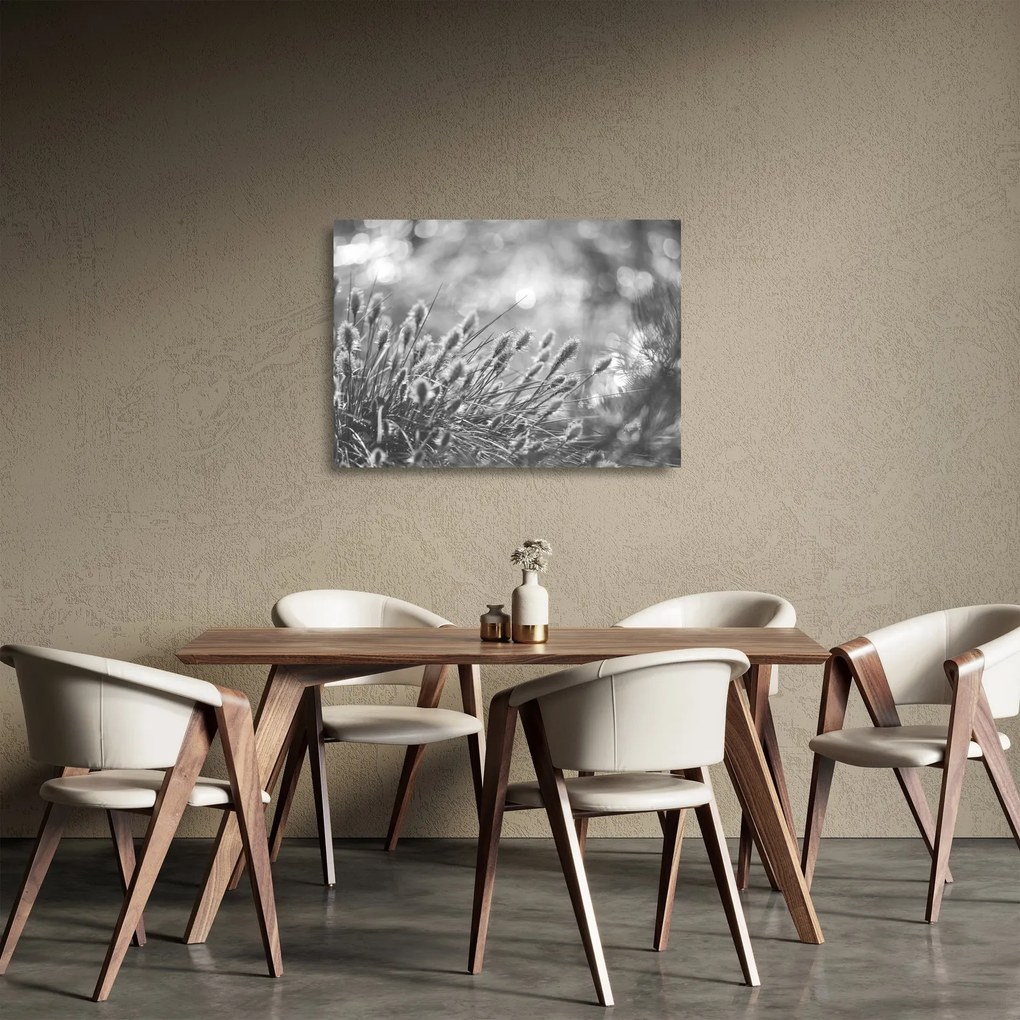 Üveg kép - Bézs színű puha fű N⁰1 (70x50 cm)