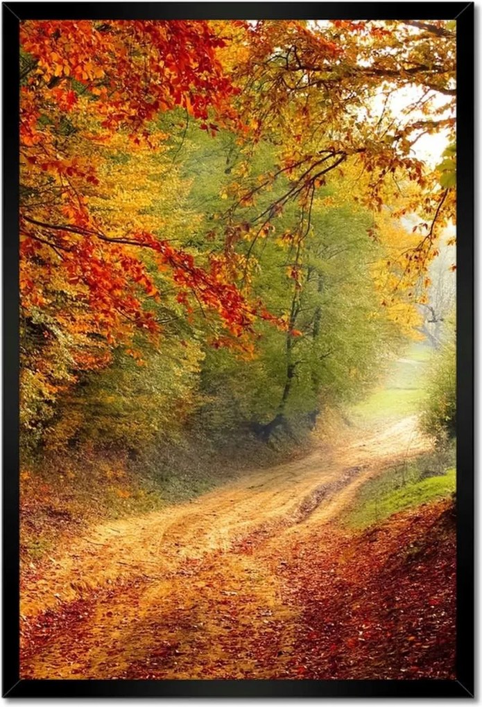 Poszterek keretben 40x60 Út az erdőben ősz