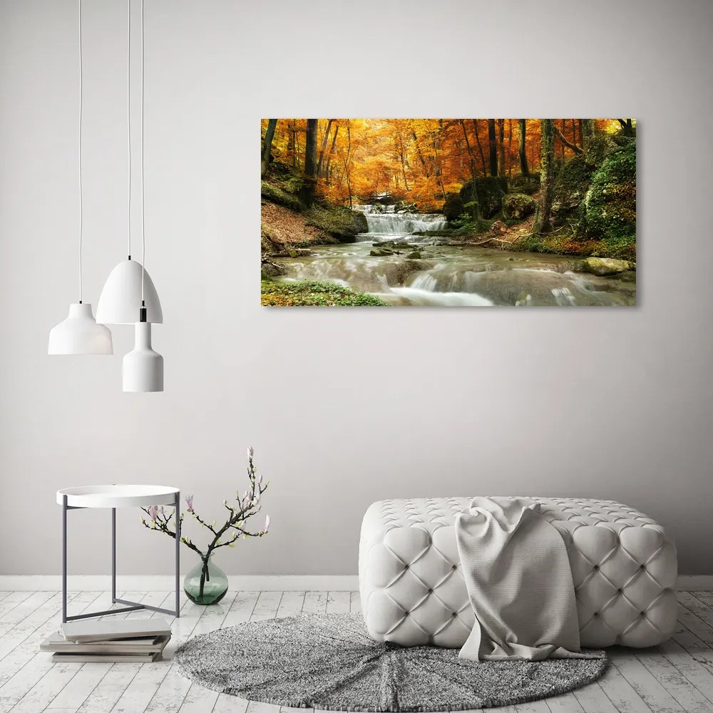Vászon nyomtatás Vízesés az erdőben pl-oc-120x60-f-64421594