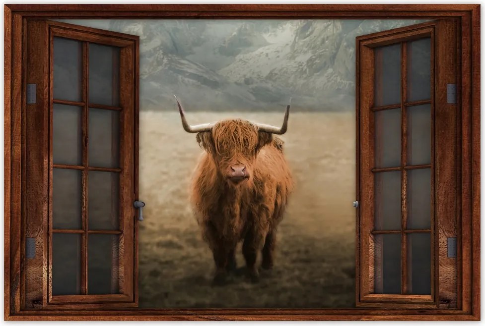 Poszterek 120x80 Skót tehén szarvasmarha