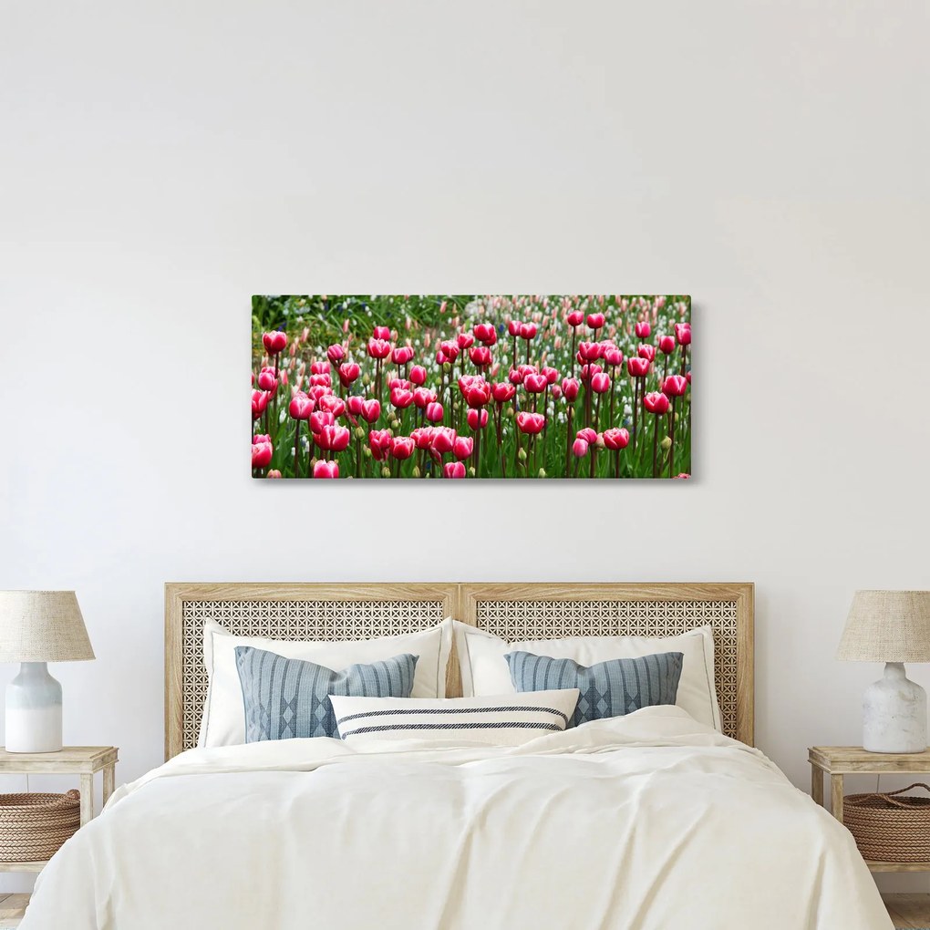 Tulipán képe (120x50 cm)