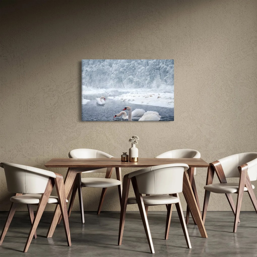Hattyú képe (90x60 cm)