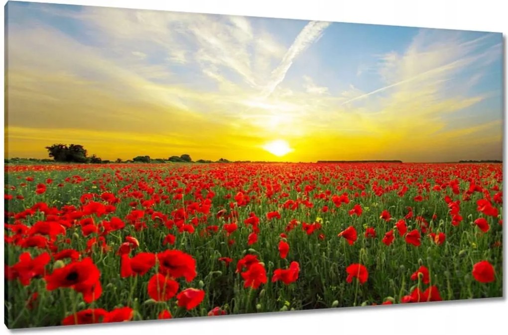 Vászonkép 120x70 Pipacsmező nyugattal