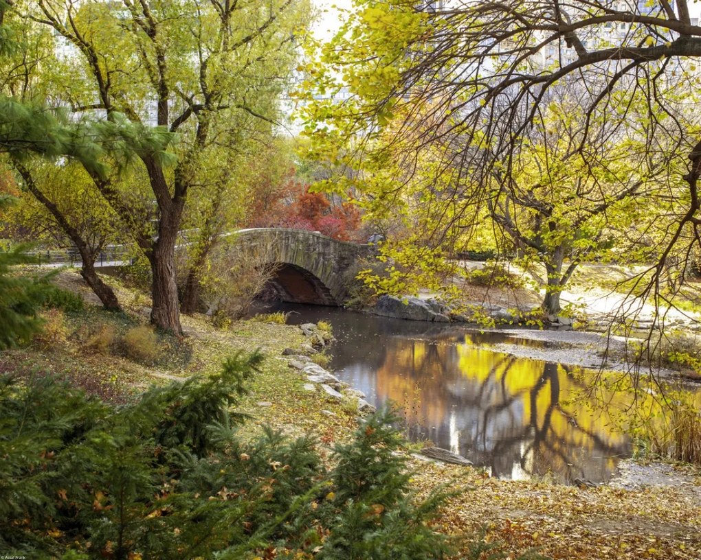 Poszter 50x40cm Őszi híd Gapstowban, Assaf Frank