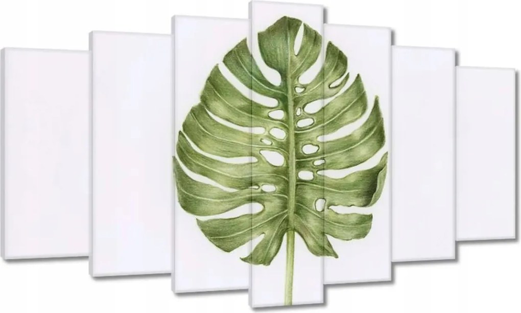 Vászonkép 140x80 Monsera levél lyukas