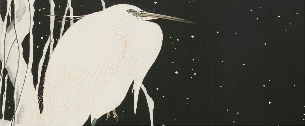 Dekoratív Fotótapéta Hálószobába Téli madár 250x104 Ragasztó