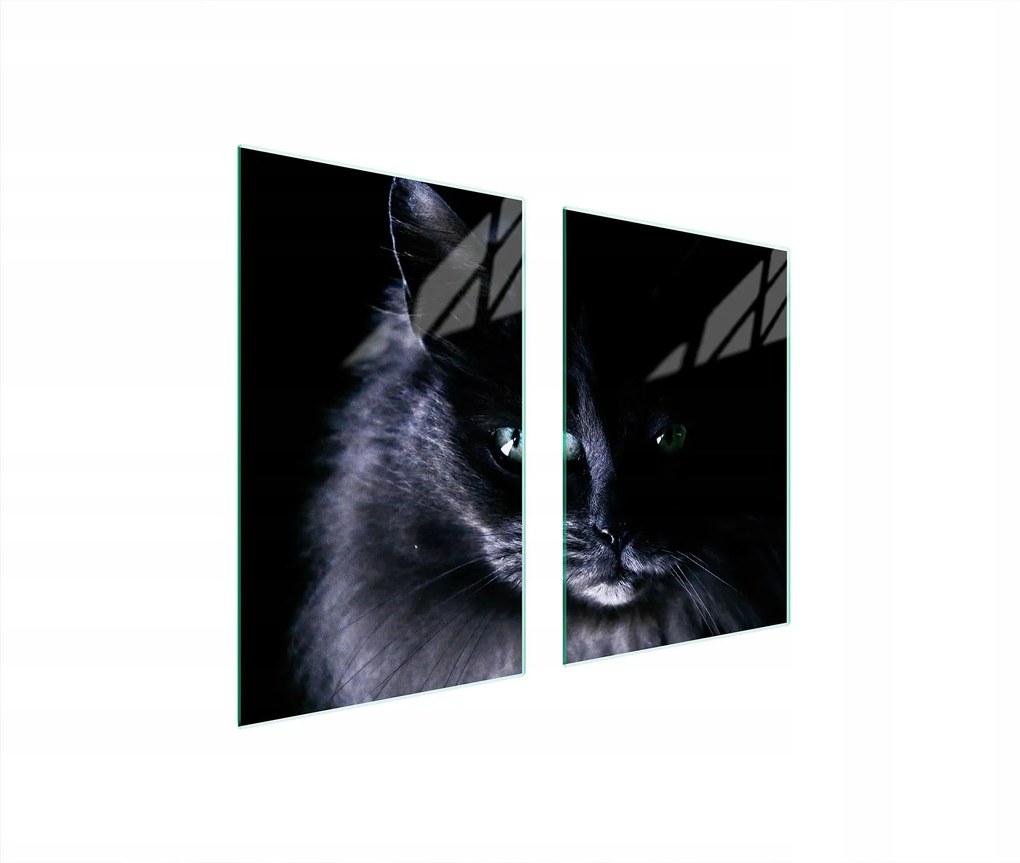 Üveg Konyhai Védőlap 65x52 Macska Edzett Üveg