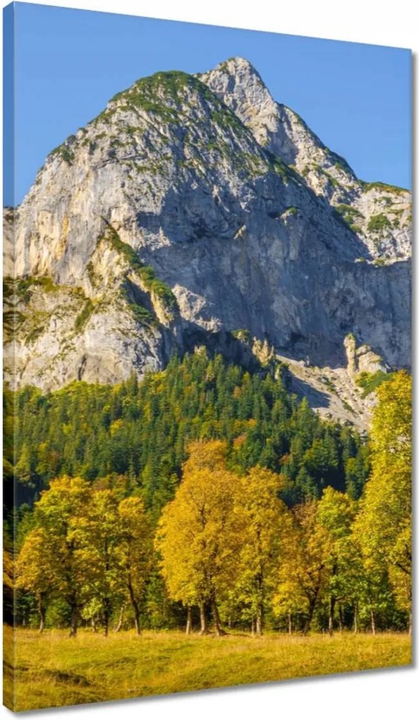 Vászonkép 40x60 Hegyi táj tiszta égbolttal Fák a hegyekben