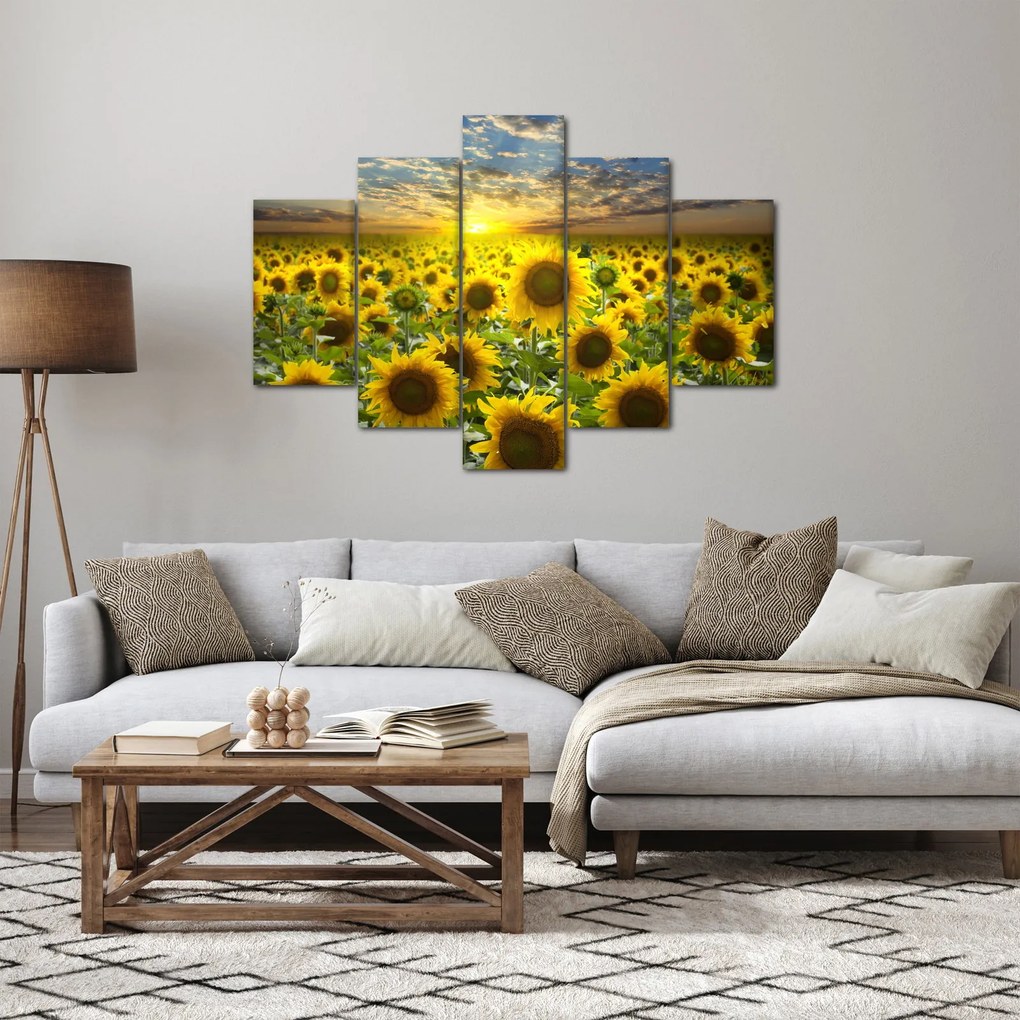 Kép - Napraforgók naplementében (150x105 cm)