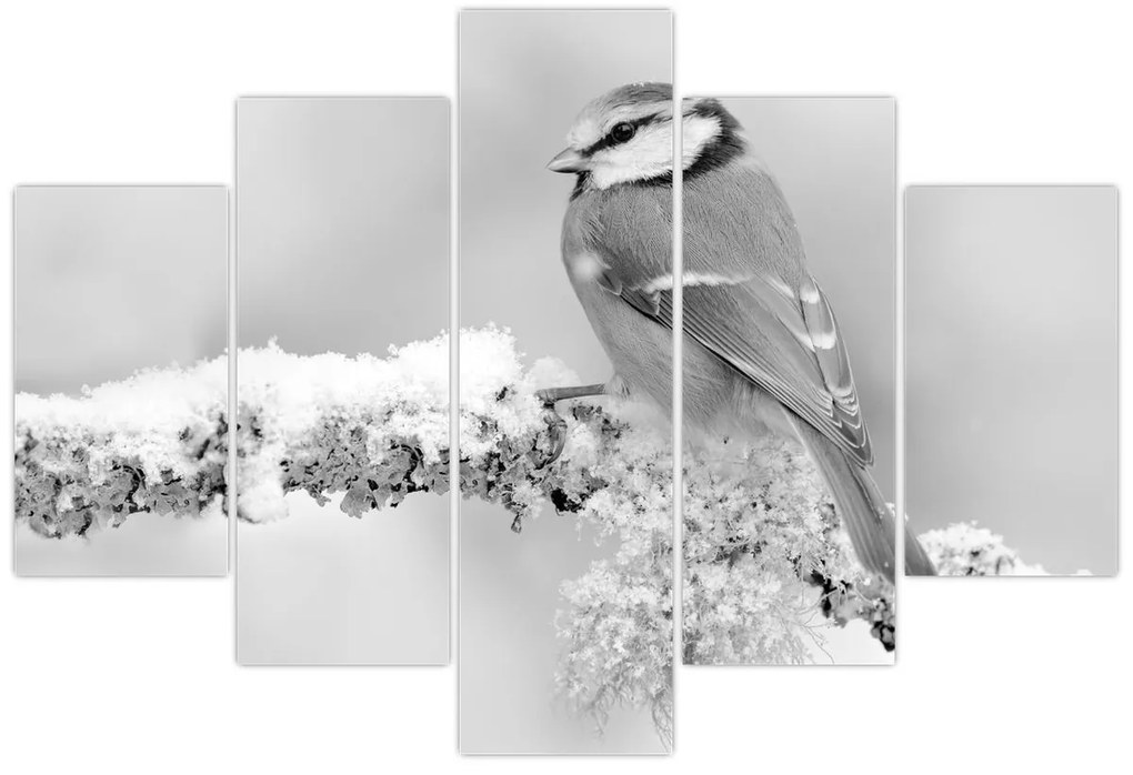 Kép - Egy madár egy ágon (150x105 cm)