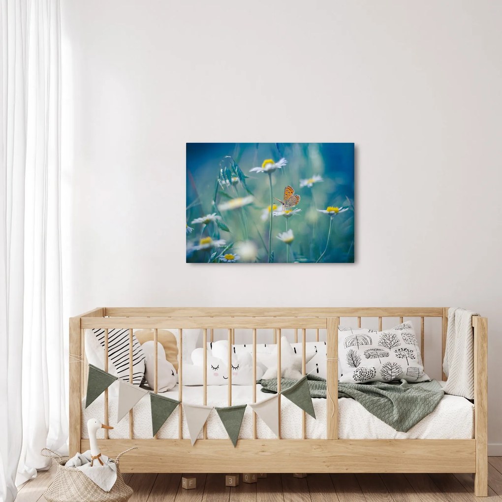 Kép - pillangó a százszorszépen (70x50 cm)