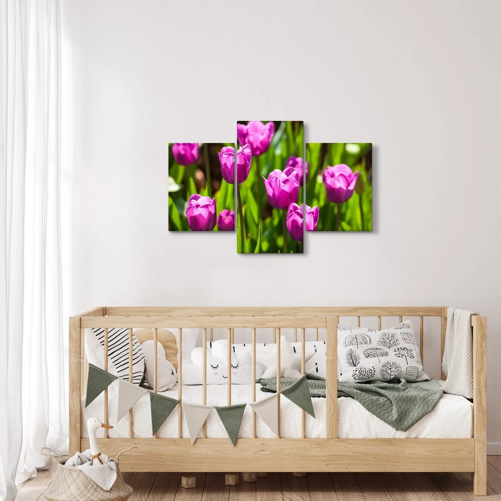 Tulipánok a réten képe (90x60 cm)