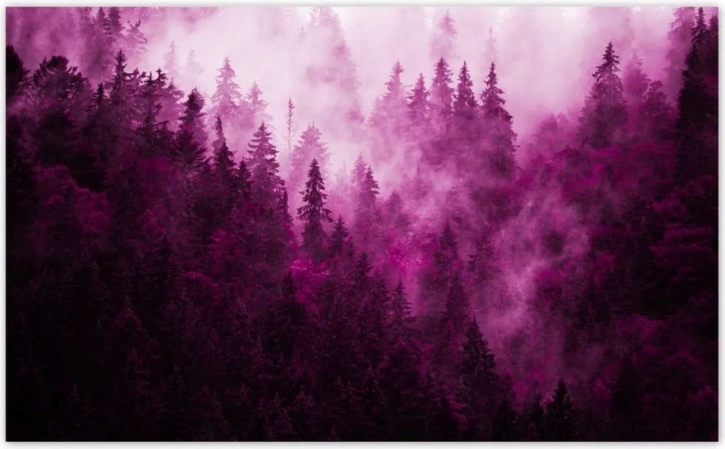 Fotótapéták 520x318 Tájkép Rózsa Hegyek Köd