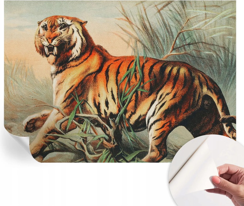 Dekoratív öntapadós fotótapéta Hálószobába Tigris természet 312x219 cm