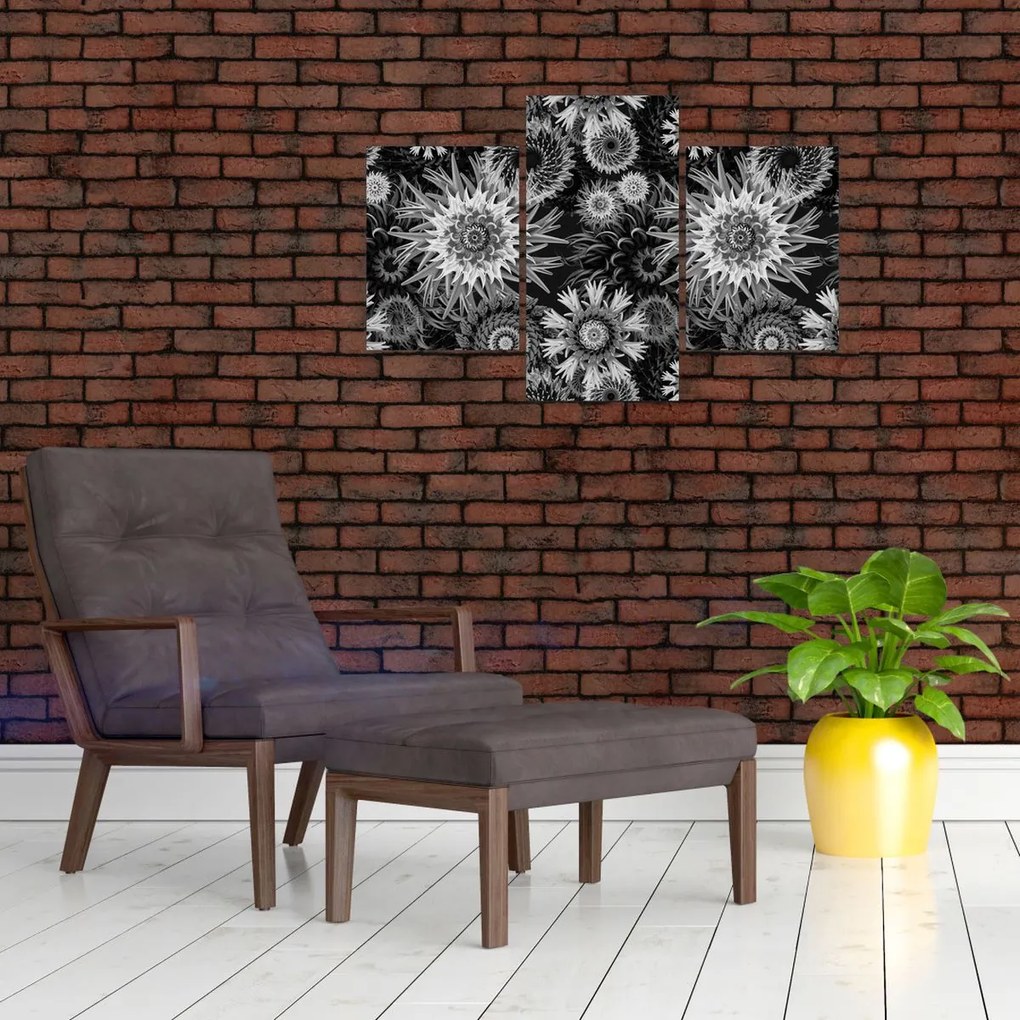 Kép - Fekete és fehér gyűszűvirág (90x60 cm)