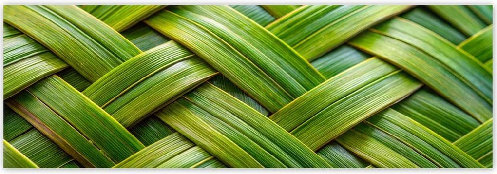 Fotótapéták 312x104 Zöld fonott zöld rattan fonott lemez