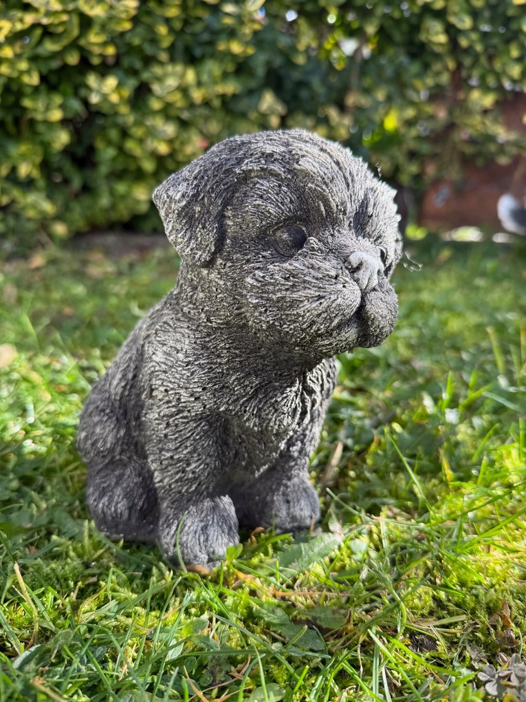 Beton kerti figurák Kutya Shih Tzu ülő beton kutya dekoráció