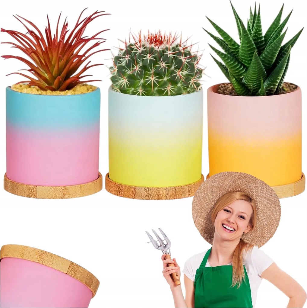 Kerámia Kaspó Pozsgás Virágokhoz, Állvánnyal Kicsi 3 Db