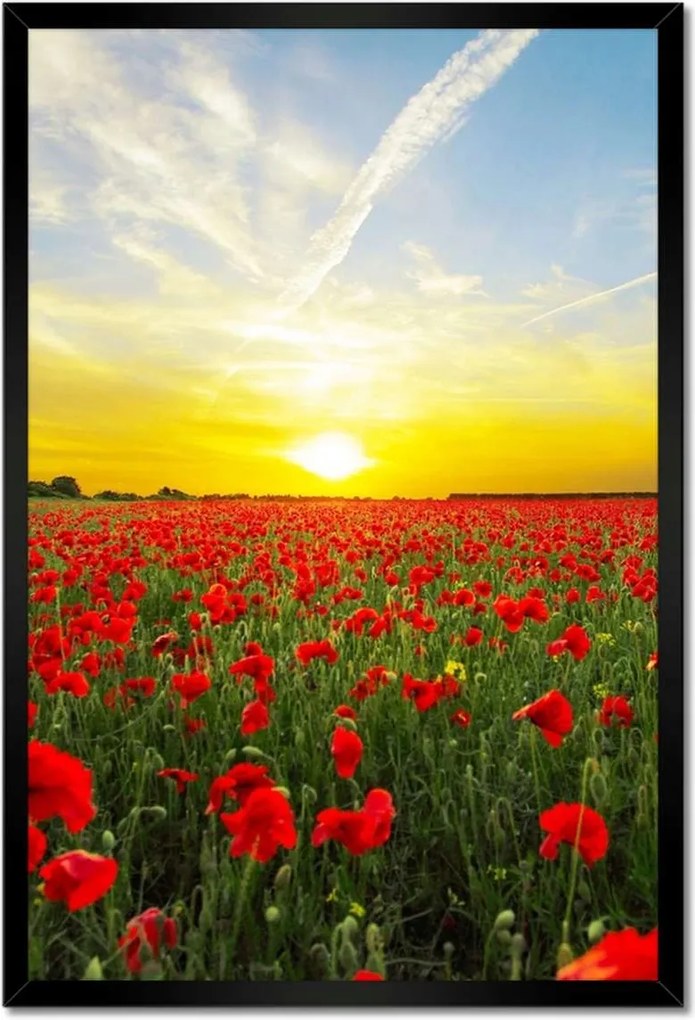 Poszterek keretben 40x60 Pipacsok mező nyugattal