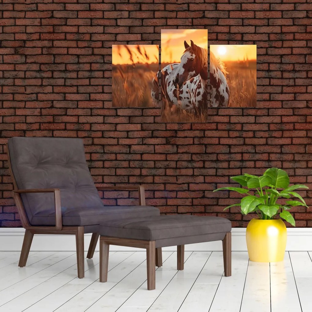 Kép - Ló naplementében (90x60 cm)