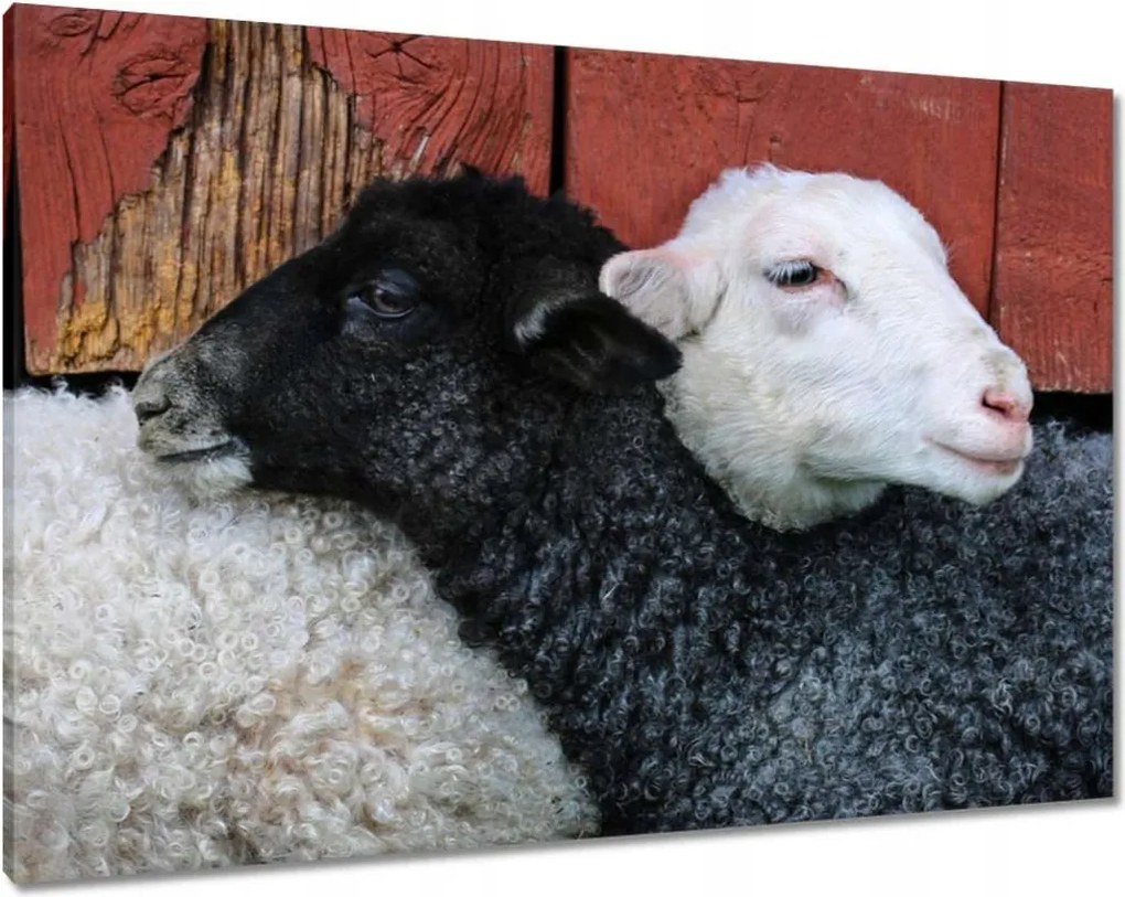 Vászonkép 100x70 Szerelem Érzés Párkapcsolat