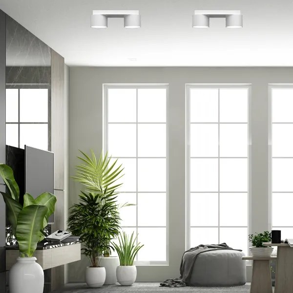 Mennyezeti lámpa DIXIE 2xGX53/11W/230V fehér