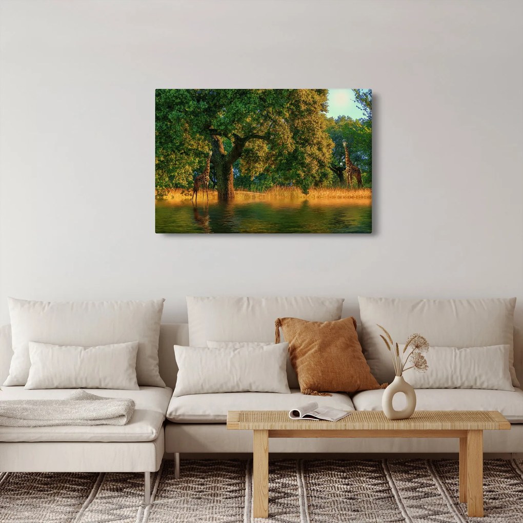 Zsiráf a természetben képe (90x60 cm)