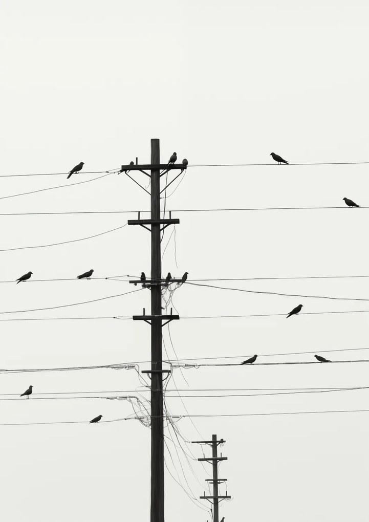 Poszter 21x29,7cm Szimfónia a drótokon