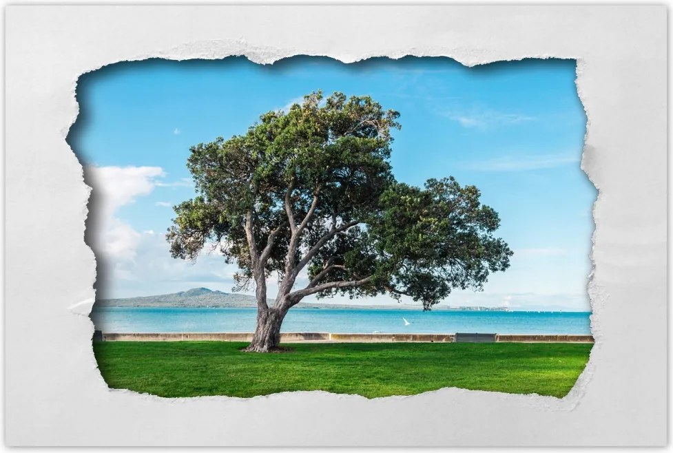 Poszterek 120x80 Magányos fa