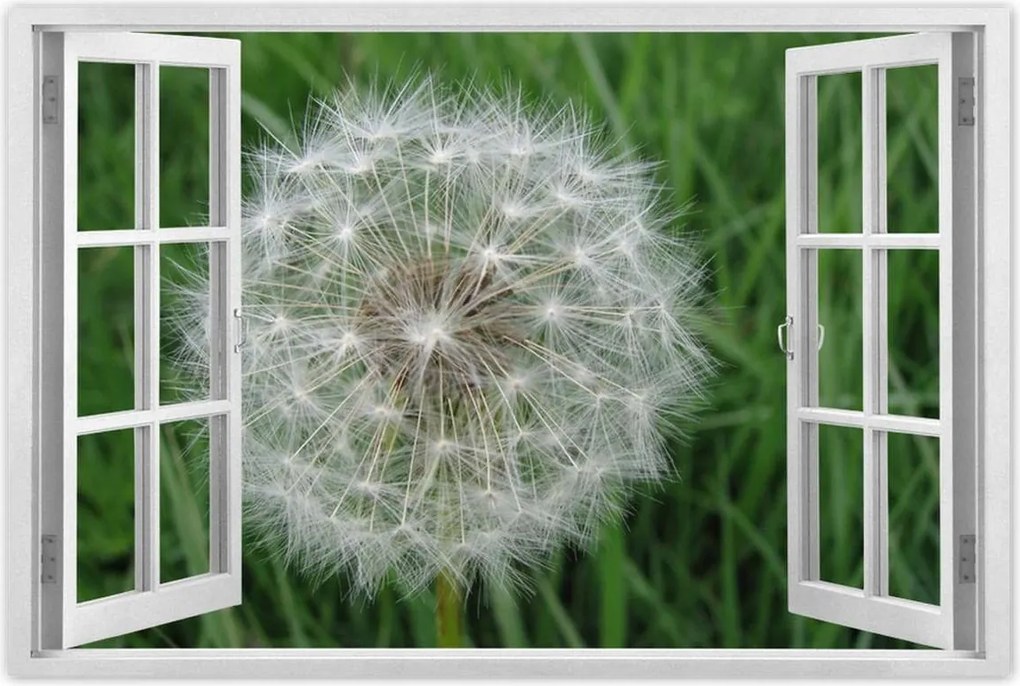 Poszterek 120x80 Pitypang Virág Virágok