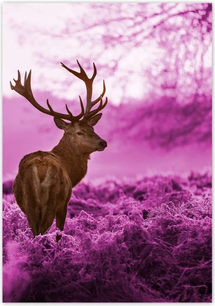 Poszterek 70x100 Szarvas a lila erdőben