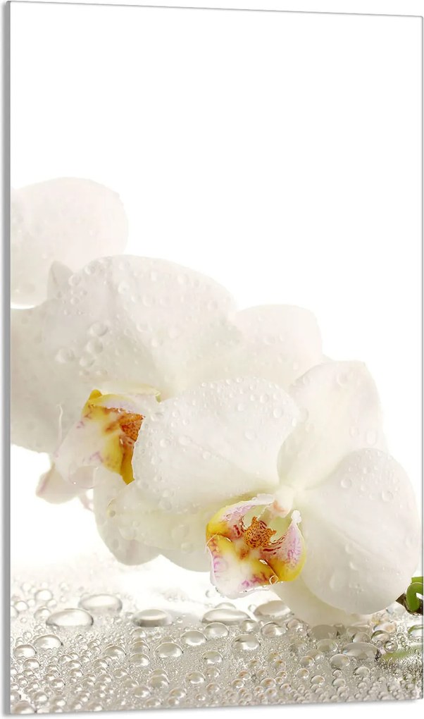 Üveg Vágódeszka 30x52 Orchidea Konyha