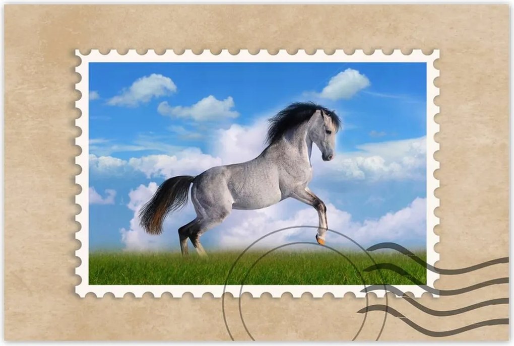 Poszterek 60x40 Ló áll tölgy Ló