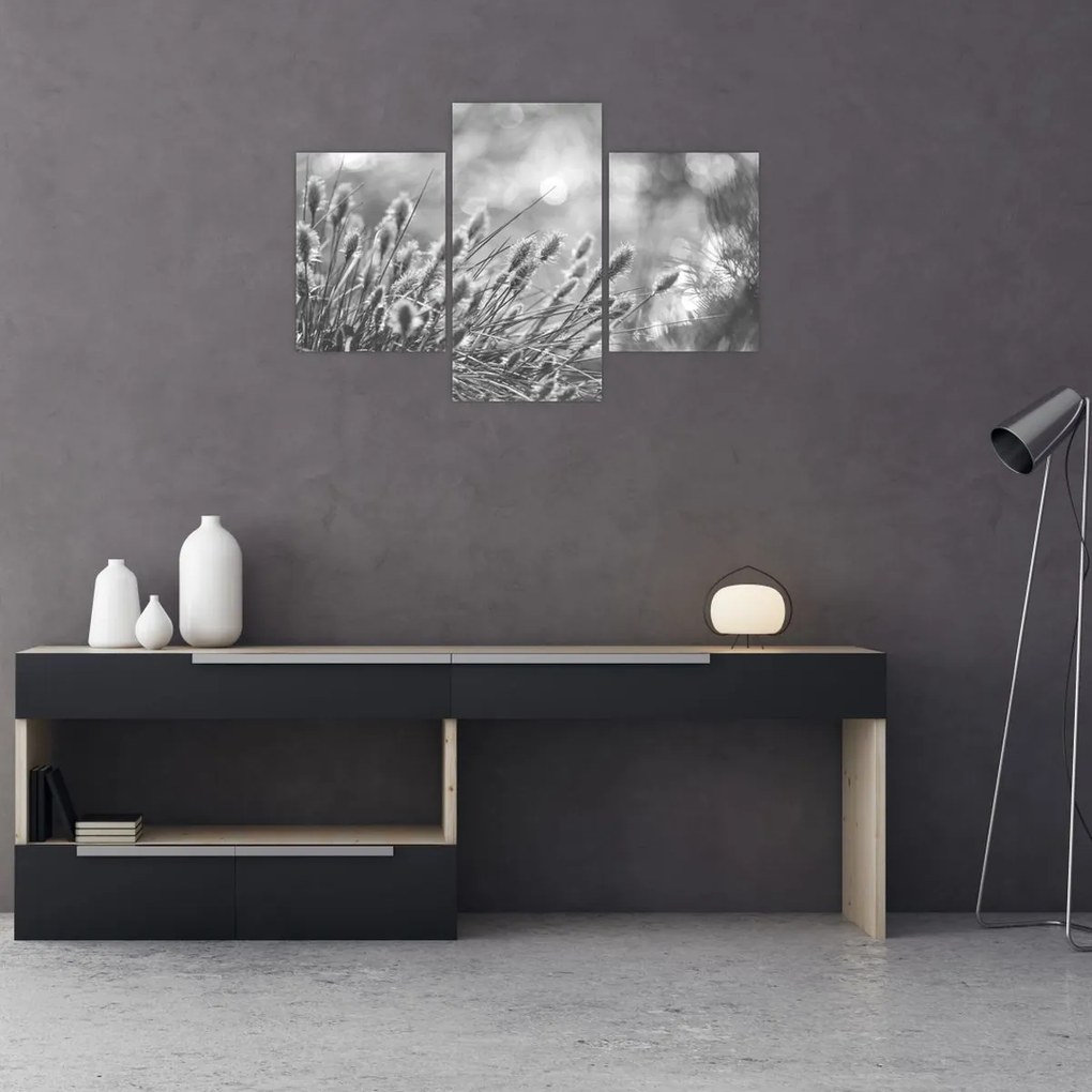 Kép - Bézs színű puha fű N⁰1 (90x60 cm)