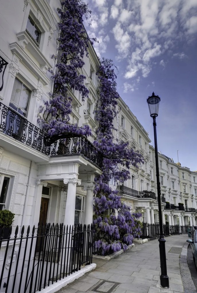 Poszter 68x101cm Ház a Portobello úton, Assaf Frank