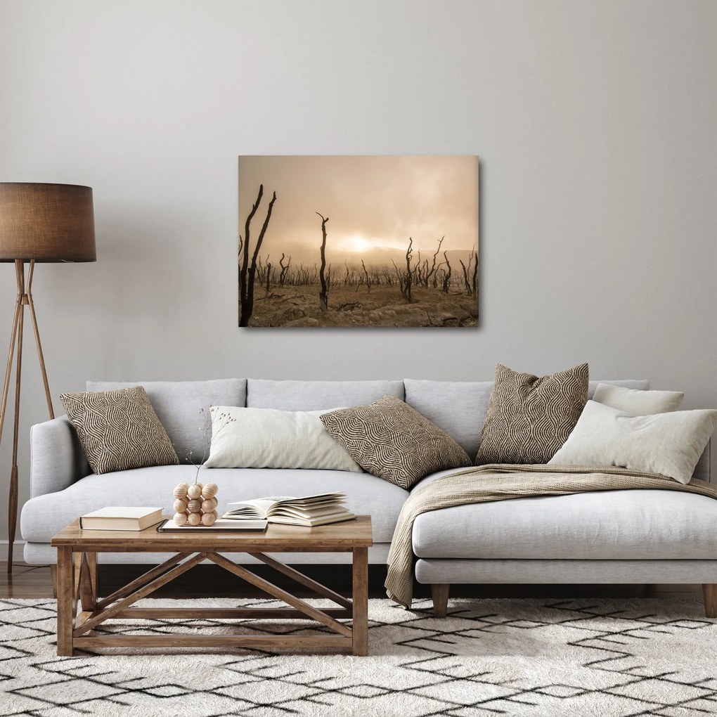 Kép - Csupasz fák (70x50 cm)