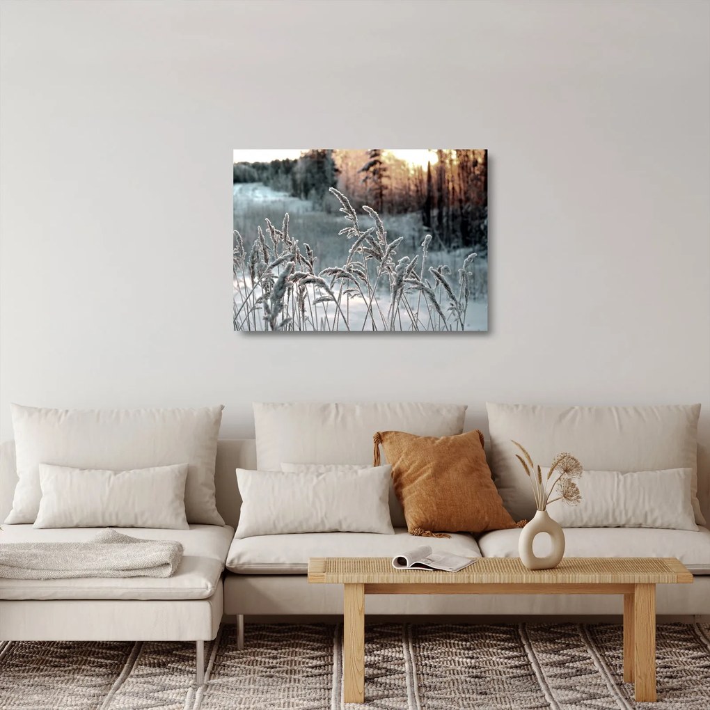 Üveg kép - Fagyott rét (70x50 cm)