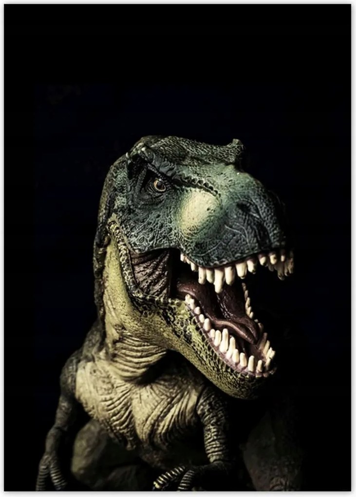 Poszter 50x70 Tyrannosaurus-t-rex fekete