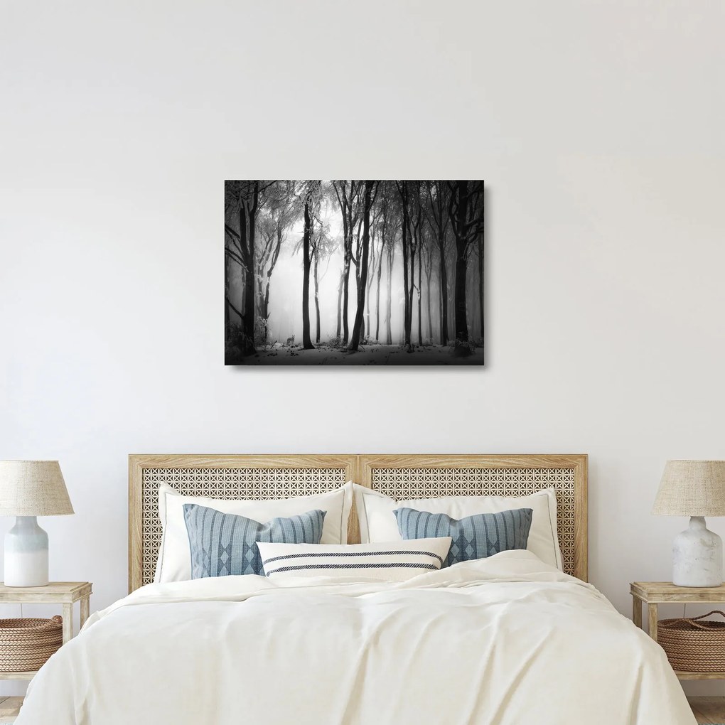 Üveg kép - Farkas a sötét erdőben (70x50 cm)