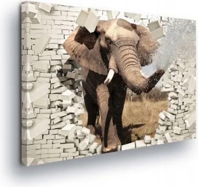 Vászonkép 80x60 Erő Áttörés Elefánt Természet Dinamika Energia