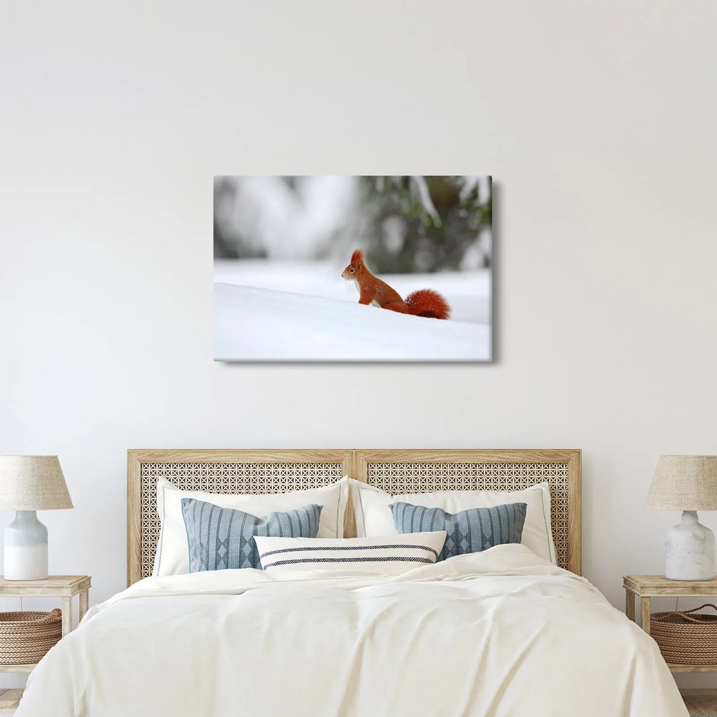 Egy mókus képe (90x60 cm)