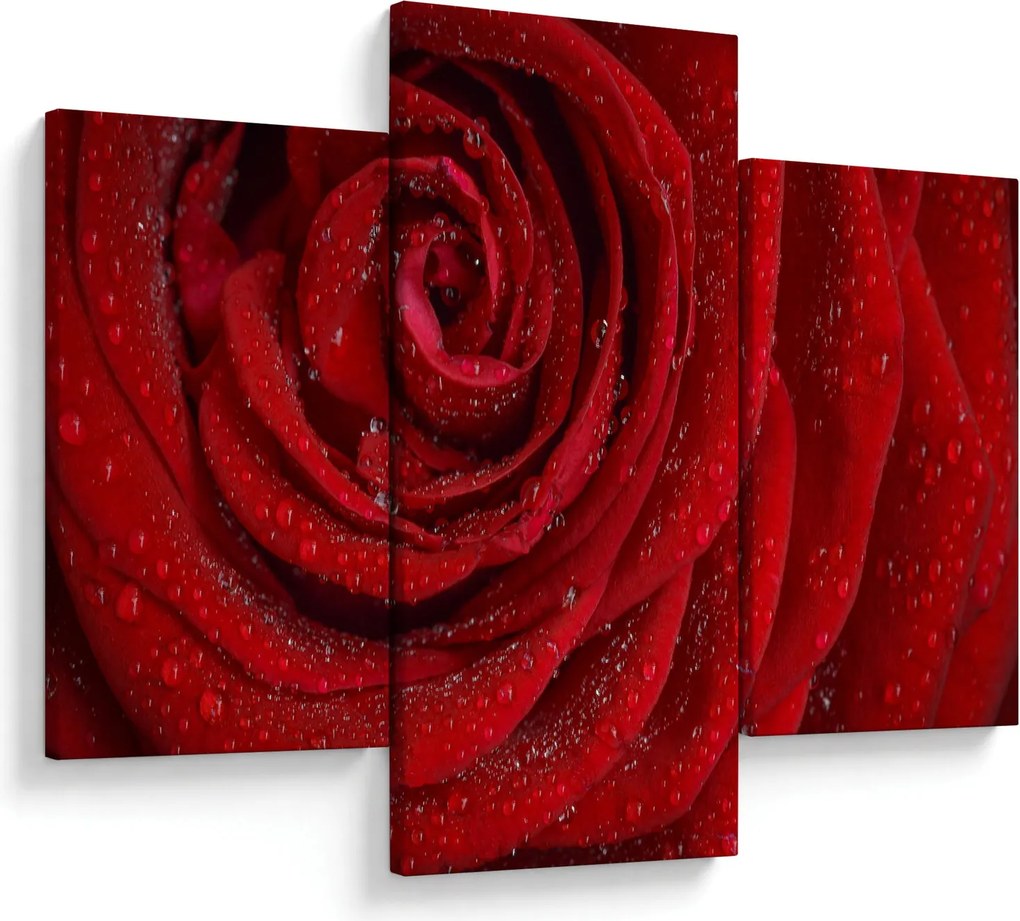 Kép - részlet a rózsáról (90x60 cm)