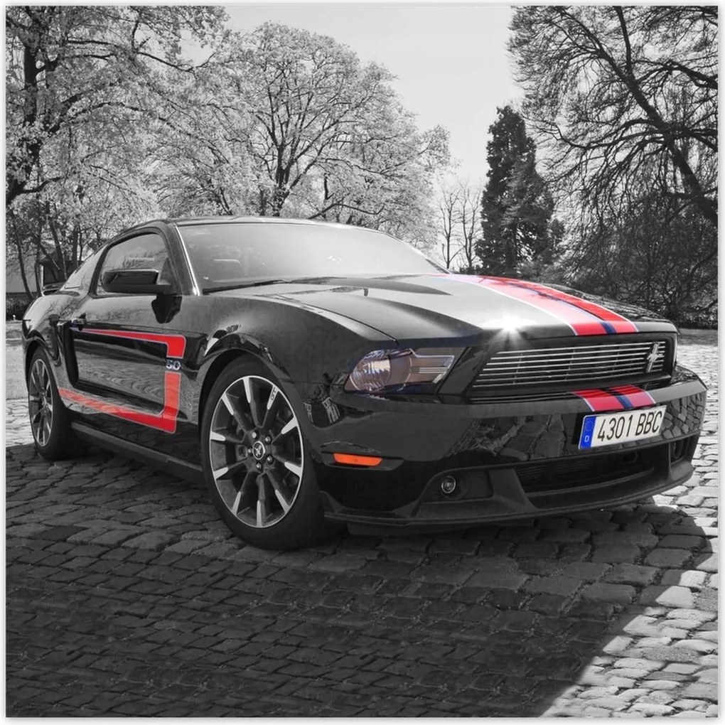 Poszter 70x70 Fekete Ford Mustang Usa