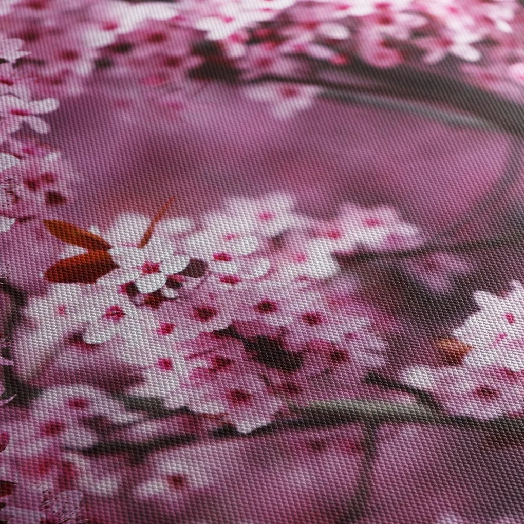 Kép - Rózsaszín sakura (150x105 cm)