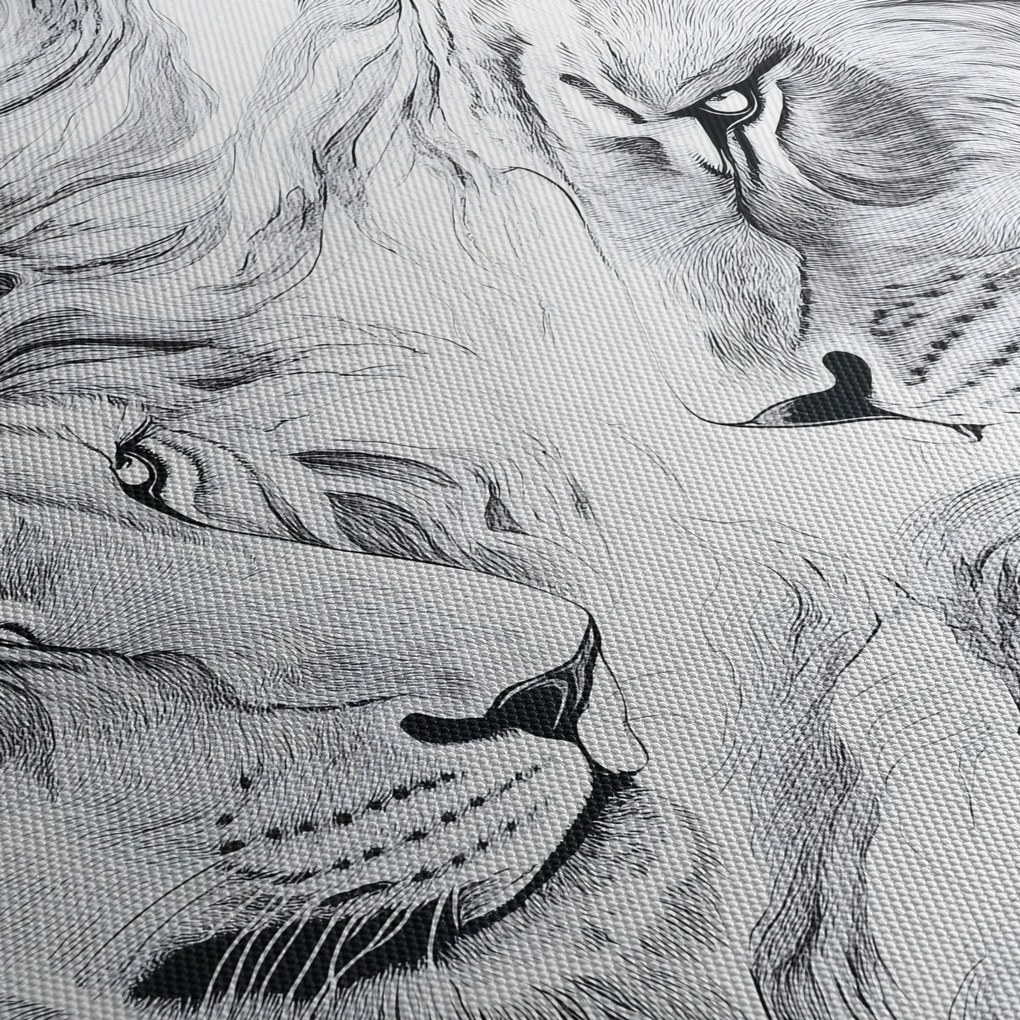 Kép - Rajzolt oroszlánfejek (150x105 cm)