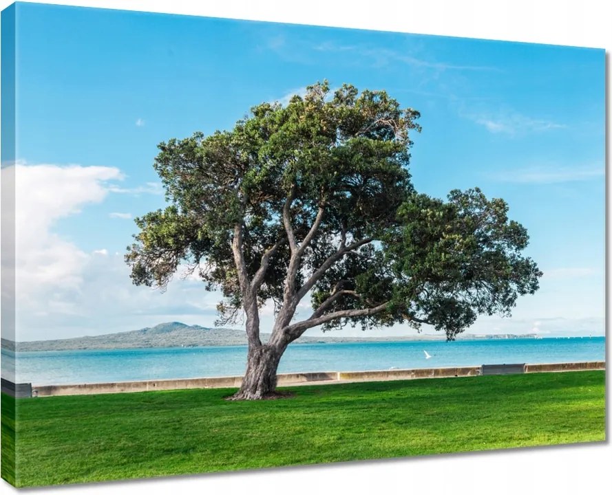 Vászonkép 80x60 Magányos fa